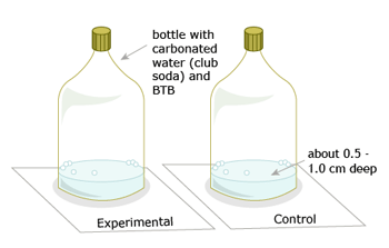 Experiment bottle
