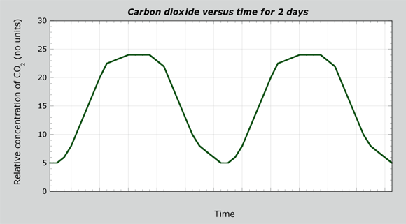 Carbon dioxide versus time for 2 days