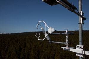 This instrument monitors CO2 moving between the forest and the atmosphere above.
