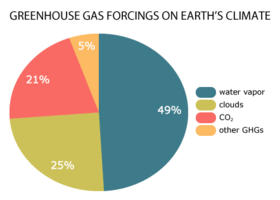 Greenhouse gas forcings on earth's climate